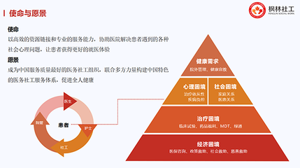 健全重特大疾病保障網，賦能醫務社工與咨詢服務業發展